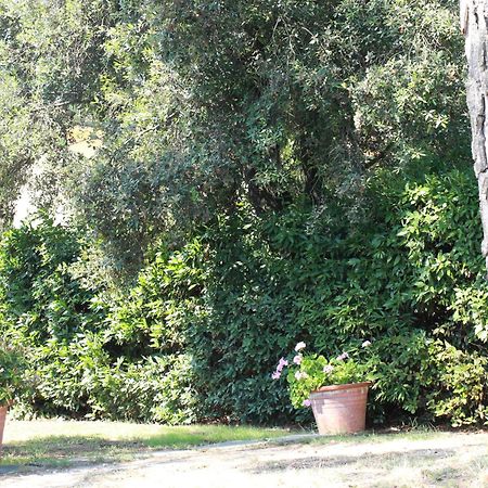 Villetta La Pineta Latignano Экстерьер фото